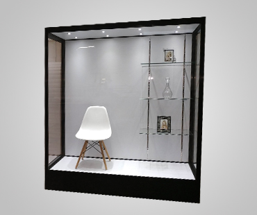 Mannequin Display Cases