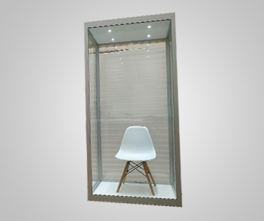 Mannequin Display Cases