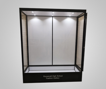 Mannequin Display Cases