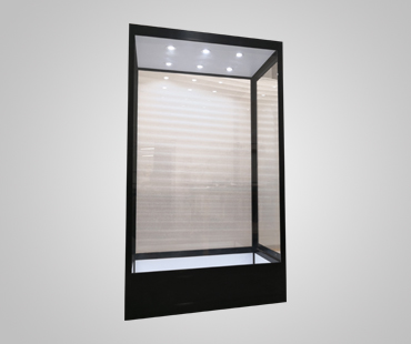 Mannequin Display Cases